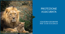PROTEZIONE ASSICURATA - SOLUZIONI