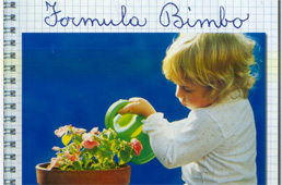 Formula Bimbo
